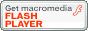 flashplayer